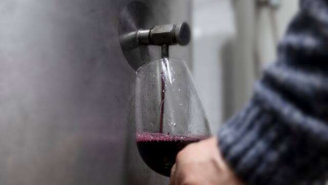 Copa de vino tinto
